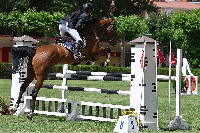 Free download Horse Jump Rider -  free photo or picture to be edited with GIMP online image editor