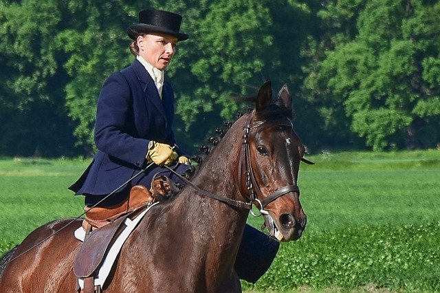 Free download Horse Lady Woman -  free photo or picture to be edited with GIMP online image editor