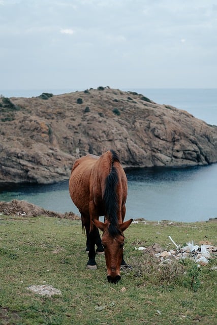 Free download horse lake grassland animal free picture to be edited with GIMP free online image editor