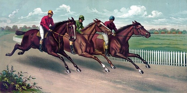 Free download Horsem Horses Racehorse Racehorses -  free illustration to be edited with GIMP free online image editor