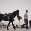 Horse on the Street  screen for extension Chrome web store in OffiDocs Chromium