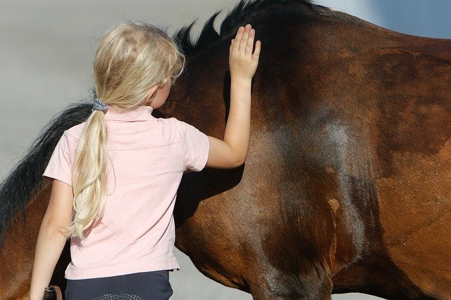 Free picture Horse Pony Kid -  to be edited by GIMP free image editor by OffiDocs