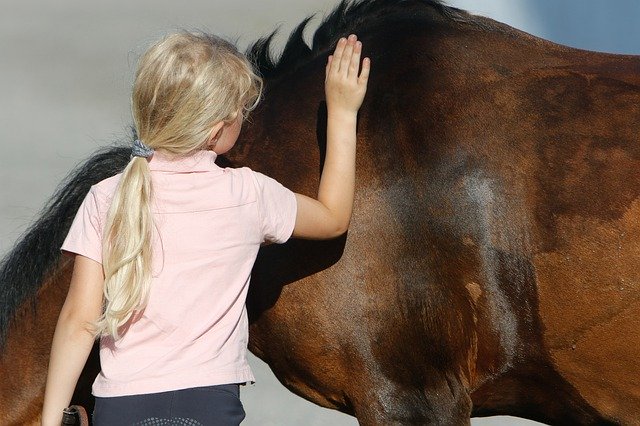 Bezpłatne pobieranie Horse Pony Kid - bezpłatne zdjęcie lub obraz do edycji za pomocą internetowego edytora obrazów GIMP