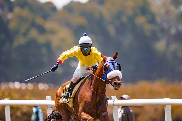 Free download Horse Race Speed -  free photo or picture to be edited with GIMP online image editor