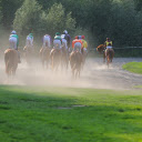 Horse racing competition  screen for extension Chrome web store in OffiDocs Chromium Horse racing competition  screen for extension Chrome web store in OffiDocs Chromium