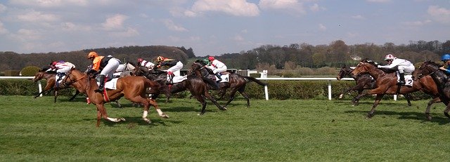 Descarga gratuita Horse Racing Horses Equestrian: foto o imagen gratuita para editar con el editor de imágenes en línea GIMP