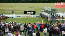 Free download Horse Racing Racecourse Start -  free video to be edited with OpenShot online video editor