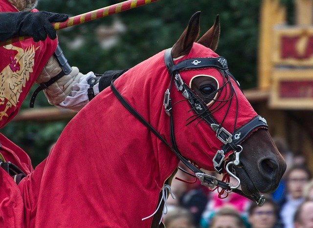 Free download Horse Ride Red -  free photo or picture to be edited with GIMP online image editor