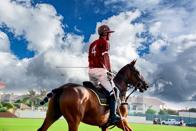 Free download horse rider polo player sport free picture to be edited with GIMP free online image editor