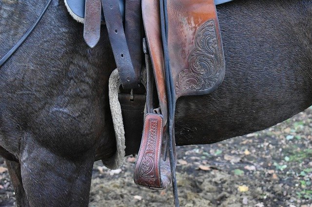 Free download Horse Saddle The Stirrup -  free photo or picture to be edited with GIMP online image editor