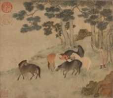 Free download Horses in Landscape with Attendant free photo or picture to be edited with GIMP online image editor