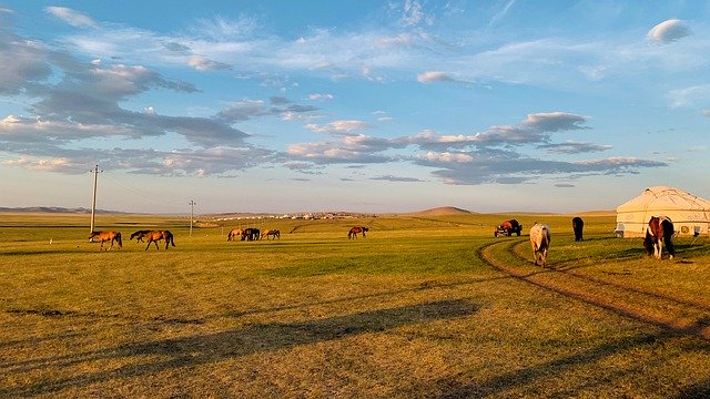 Téléchargement gratuit Cheval Ciel Vert - photo ou image gratuite à modifier avec l'éditeur d'images en ligne GIMP