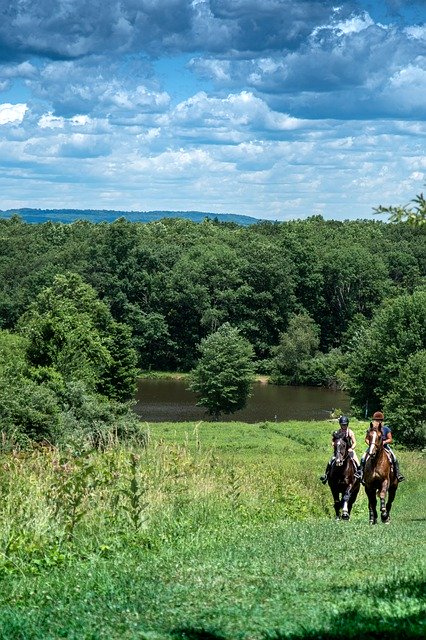 Free download Horses Landscape Nature -  free photo or picture to be edited with GIMP online image editor