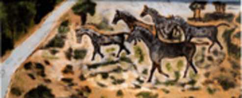Scarica gratuitamente la foto o l'immagine gratuita di Horses / Paarden da modificare con l'editor di immagini online GIMP