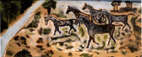 Free download Horses / Paarden free photo or picture to be edited with GIMP online image editor