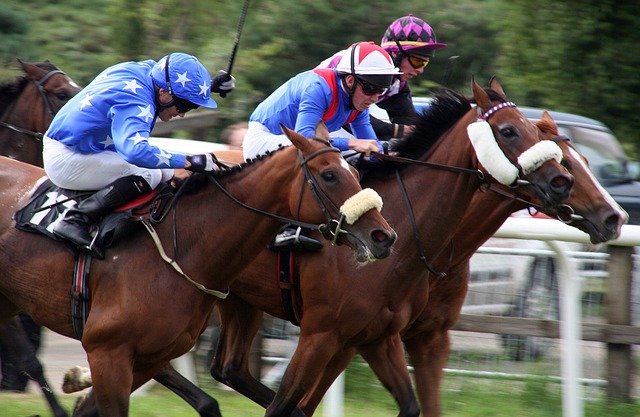 Unduh gratis Horses Racing Equestrian - foto atau gambar gratis untuk diedit dengan editor gambar online GIMP