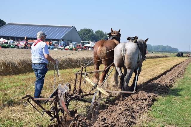 Unduh gratis Horse Team Farmer - foto atau gambar gratis untuk diedit dengan editor gambar online GIMP