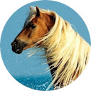 Horse Wallpaper  screen for extension Chrome web store in OffiDocs Chromium