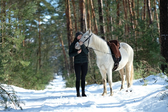 Free download horse woman pony animal winter free picture to be edited with GIMP free online image editor