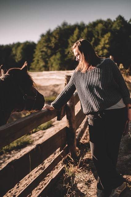 Free download horse young woman nature fence free picture to be edited with GIMP free online image editor