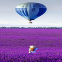 Hot air balloon and lavender wallpaper  screen for extension Chrome web store in OffiDocs Chromium
