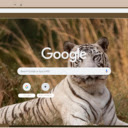 Ho Trang  screen for extension Chrome web store in OffiDocs Chromium