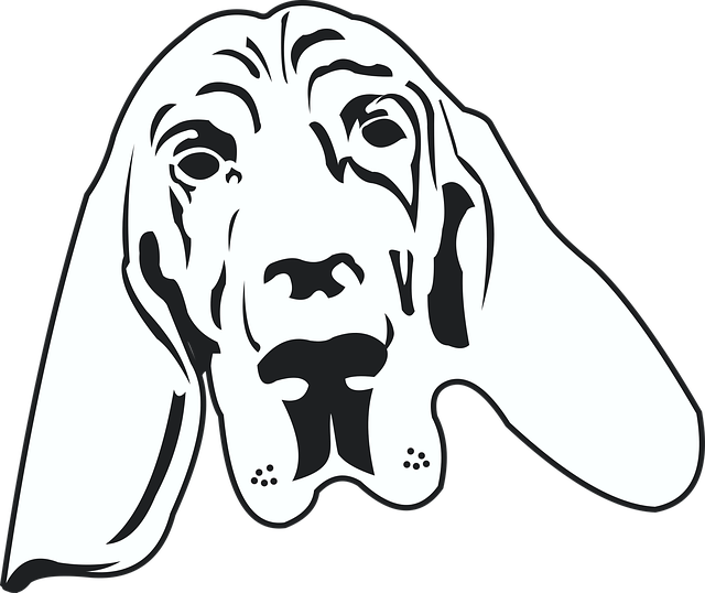 免费下载 猎犬 狗 - 免费矢量图形Pixabay 免费插图使用 GIMP 免费在线图像编辑器进行编辑
