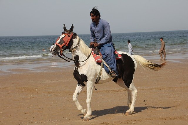 Hourseriding Beach'i ücretsiz indirin - GIMP çevrimiçi resim düzenleyiciyle düzenlenecek ücretsiz fotoğraf veya resim