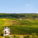 House and grape farm  screen for extension Chrome web store in OffiDocs Chromium