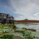 House and lotus pond  screen for extension Chrome web store in OffiDocs Chromium
