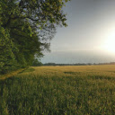 House and yard  screen for extension Chrome web store in OffiDocs Chromium