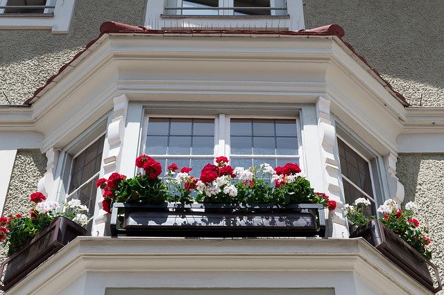 ดาวน์โหลดฟรี House Bay Window Floral - ภาพถ่ายหรือรูปภาพฟรีที่จะแก้ไขด้วยโปรแกรมแก้ไขรูปภาพออนไลน์ GIMP