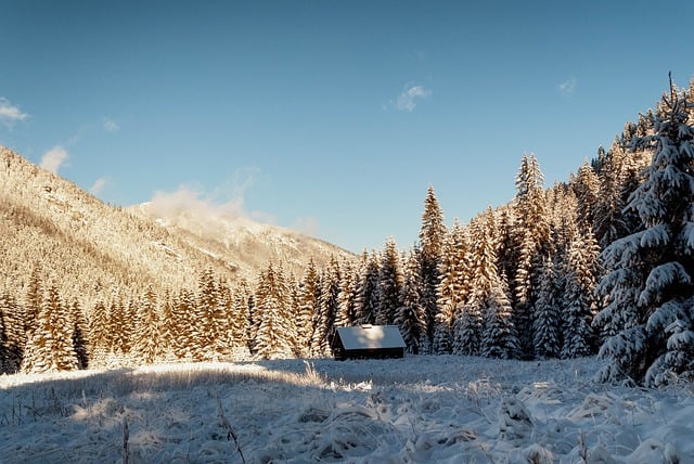 Baixe gratuitamente a imagem gratuita do inverno da floresta da cabana da casa para ser editada com o editor de imagens on-line gratuito do GIMP