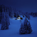 House in the snowy forest  screen for extension Chrome web store in OffiDocs Chromium