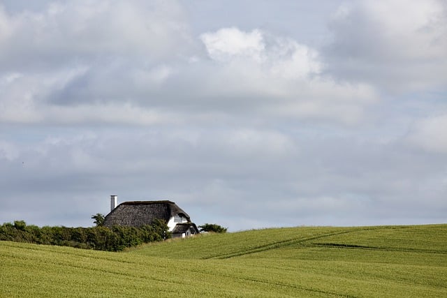 Free download house landscape meadow field free picture to be edited with GIMP free online image editor