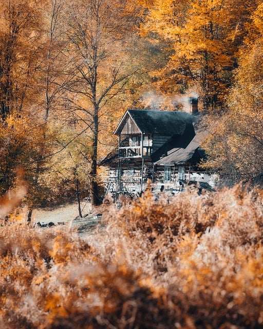 Free download house leaves autumn old outdoor free picture to be edited with GIMP free online image editor