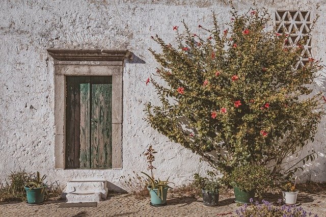 Бесплатно скачайте бесплатный шаблон фотографии House Old Facade для редактирования с помощью онлайн-редактора изображений GIMP