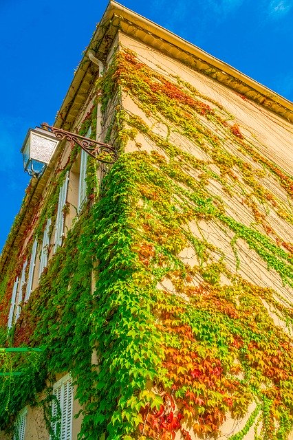 Скачать бесплатно House Overgrown Climber Plant - бесплатное фото или изображение для редактирования с помощью онлайн-редактора изображений GIMP