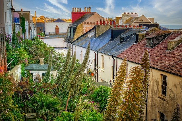 Ücretsiz indir ev konut çalıları bitki çatıları GIMP ücretsiz çevrimiçi görüntü düzenleyici ile düzenlenecek ücretsiz resim
