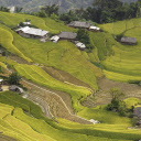 houses and terraced fields  screen for extension Chrome web store in OffiDocs Chromium