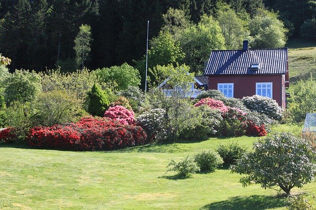 Free download House Summer Norway -  free photo or picture to be edited with GIMP online image editor