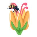 Hovering for Nectar  screen for extension Chrome web store in OffiDocs Chromium
