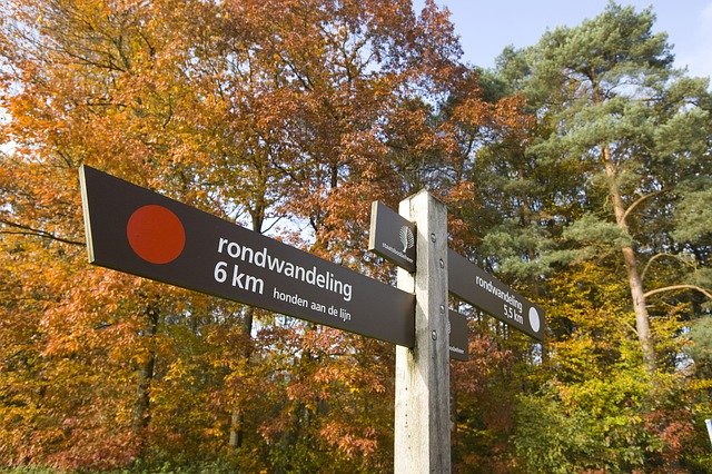 Free download How To Get Here Walking Path Route -  free photo or picture to be edited with GIMP online image editor