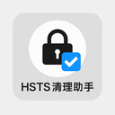 HSTS Helper  screen for extension Chrome web store in OffiDocs Chromium