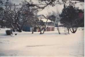 Free download Hugos Blizzard - 1989 free photo or picture to be edited with GIMP online image editor