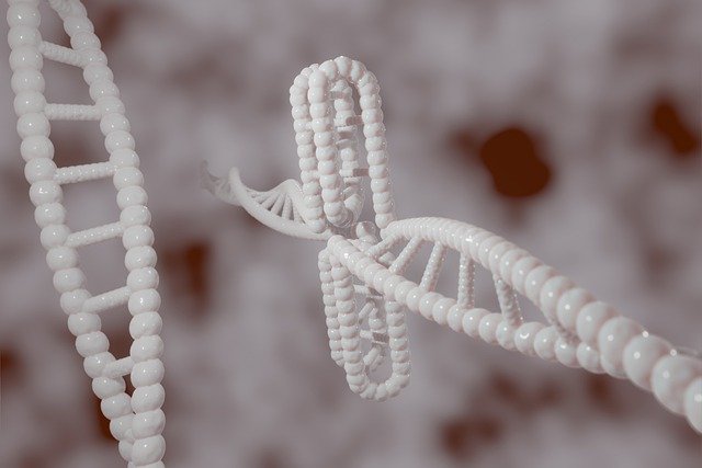 Free download human dna genetic cytosine free picture to be edited with GIMP free online image editor