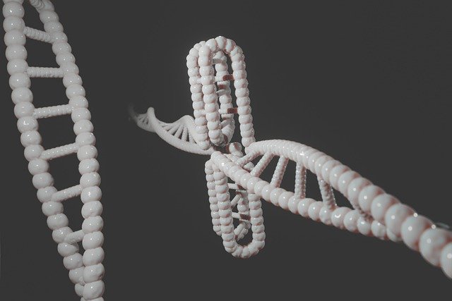 Free download human dna genetic cytosine i motif free picture to be edited with GIMP free online image editor