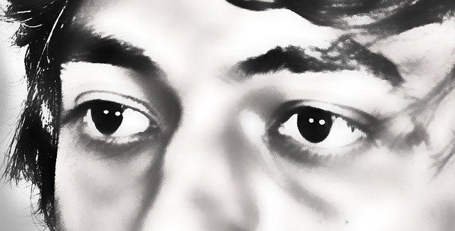 Free download Human Eyes Face -  free illustration to be edited with GIMP free online image editor