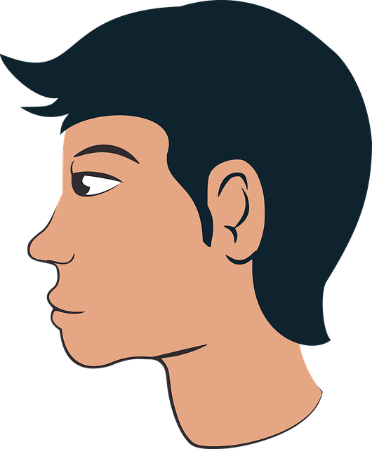 Free download Human Head - Free vector graphic on Pixabay free illustration to be edited with GIMP free online image editor