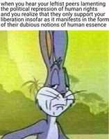 Free download human rights free photo or picture to be edited with GIMP online image editor